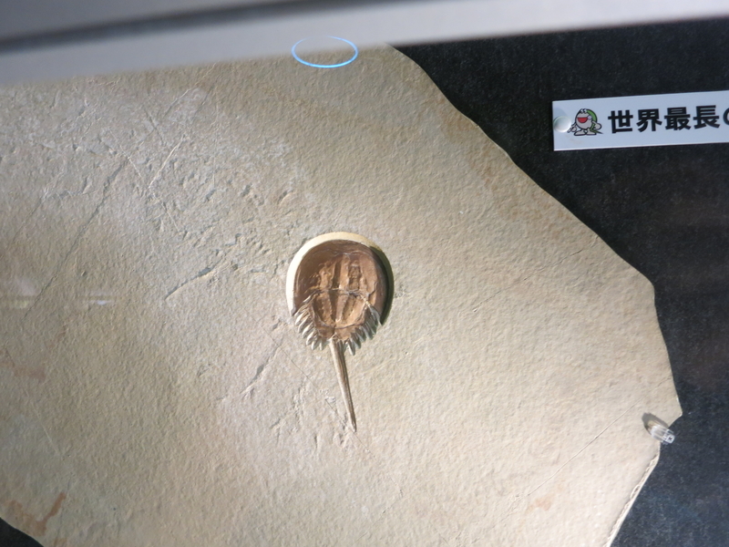 f:id:sunetsumuri:20211206233218j:plain