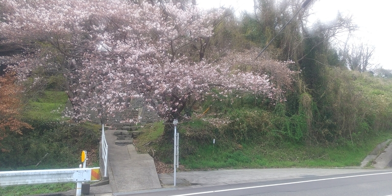 f:id:sunetsumuri:20220327224258j:plain