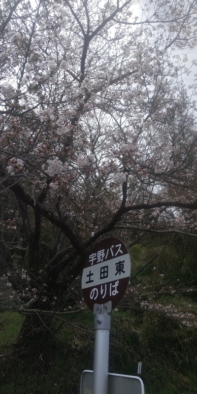 f:id:sunetsumuri:20220327224305j:plain