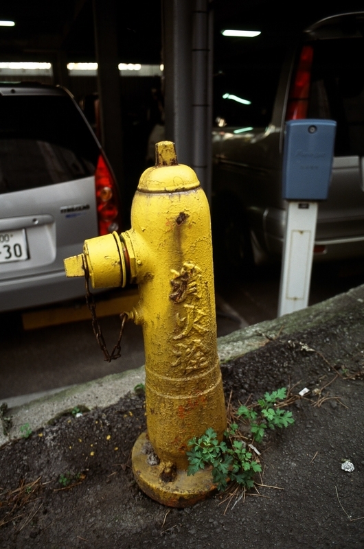 週刊消火栓 172本目 静岡03 - 帰ってきた月にいる犬