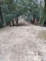20250322150637