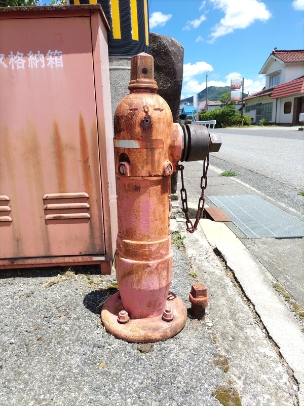 隔週刊消火栓 214本目 広島10 - 帰ってきた月にいる犬