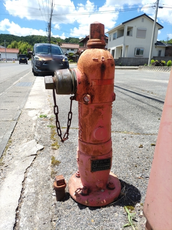 隔週刊消火栓 214本目 広島10 - 帰ってきた月にいる犬
