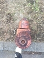 20260428145736