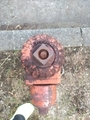 20260428145809