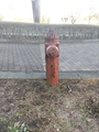 20260428145824