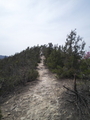 20260616121517