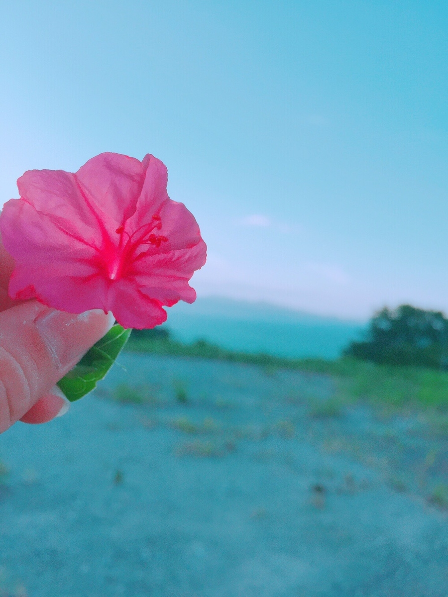 f:id:sunflower-8991:20190425230700j:plain f:id:sunflower-8991:20190425230700j:plain