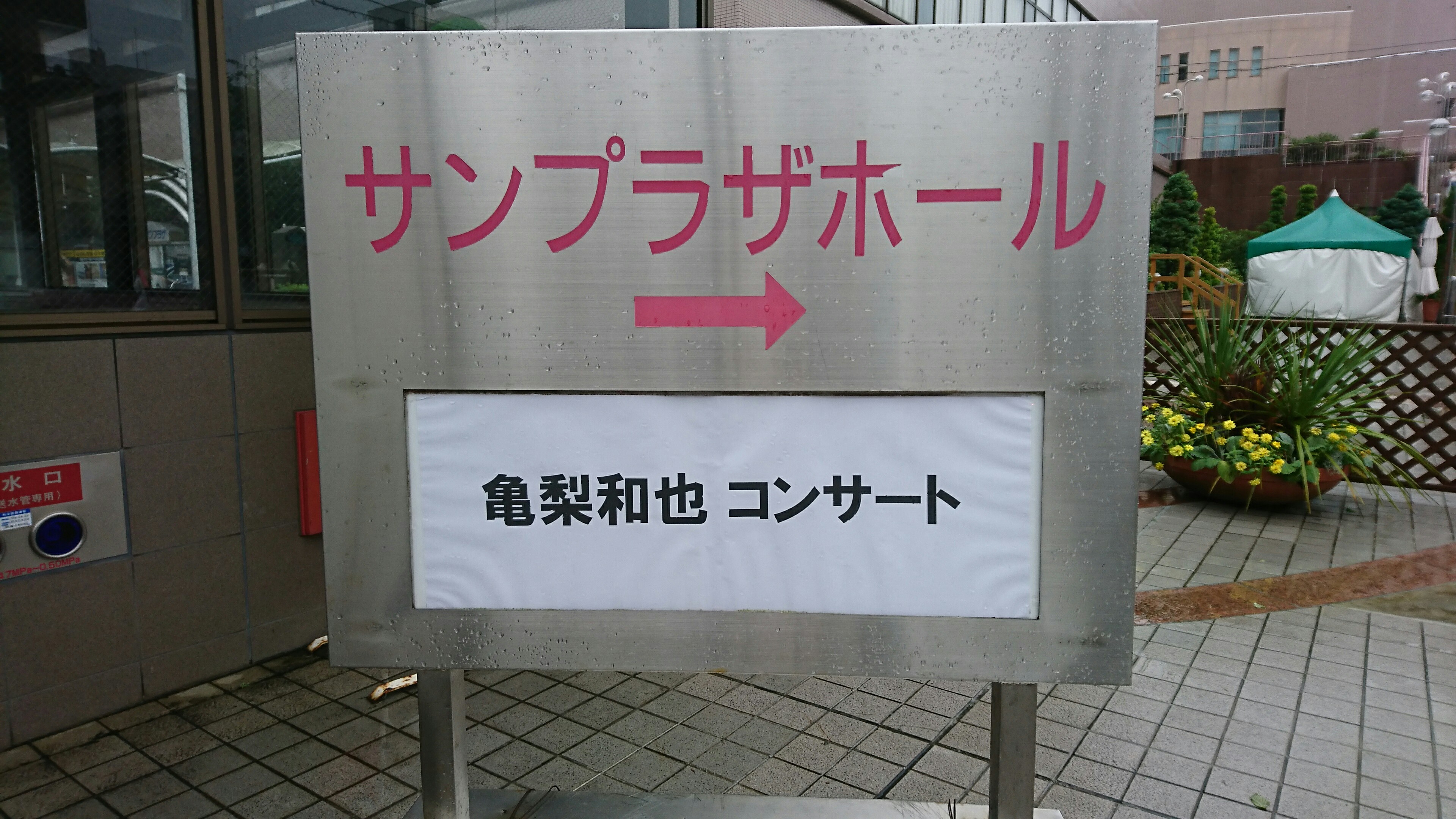 f:id:sunflower-shigeaki:20170810180335j:image f:id:sunflower-shigeaki:20170810180335j:image