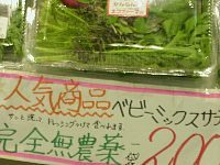 f:id:sunflower23:20070622230754j:image:right