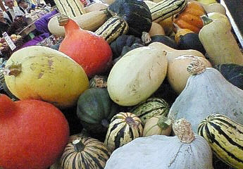 f:id:sunflower23:20070921092400j:image