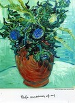 f:id:sunflower23:20071113082918j:image:left