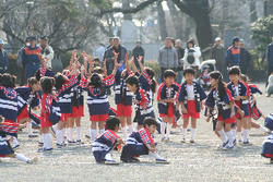f:id:sunflower23:20080111102931j:image:right