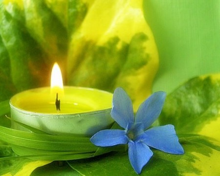 f:id:sunflower23:20080821141036j:image:left