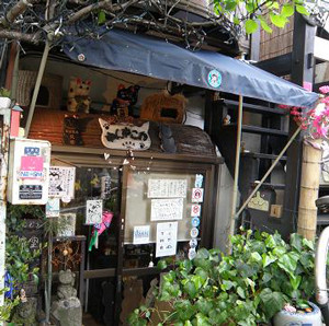 f:id:sunflower23:20090422233758j:image
