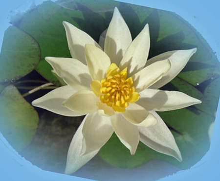 f:id:sunflower23:20090804083635j:image