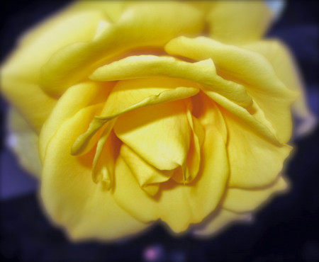 f:id:sunflower23:20100117003637j:image