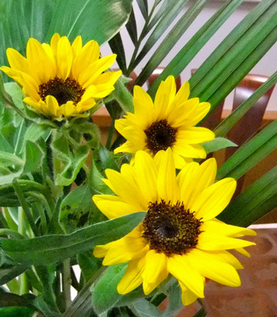 f:id:sunflower23:20101019160227j:image