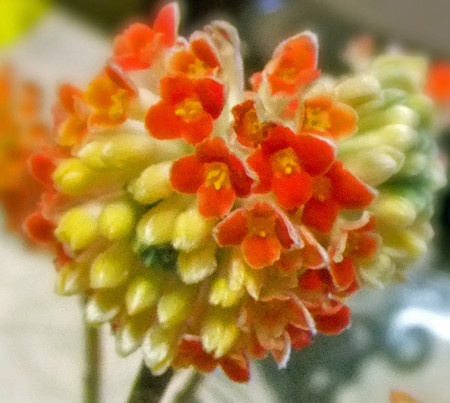 f:id:sunflower23:20110330150237j:image