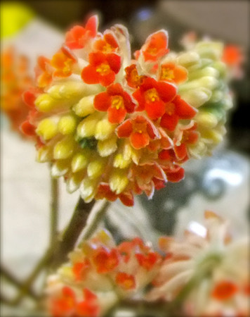 f:id:sunflower23:20110330150239j:image