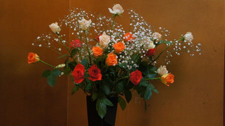 f:id:sunflower23:20110413194837j:image
