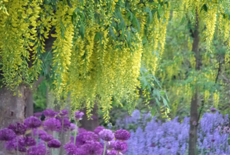 f:id:sunflower23:20110601145609j:image