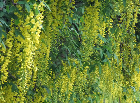 f:id:sunflower23:20110601145610j:image