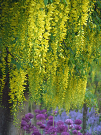 f:id:sunflower23:20110601150412j:image