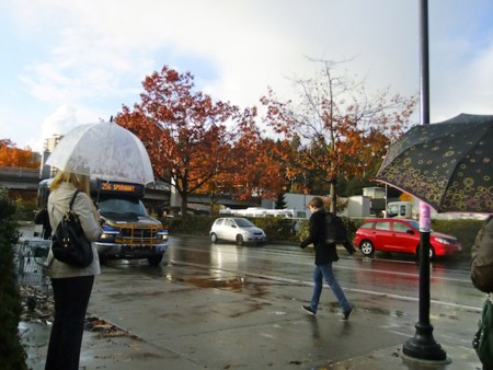 f:id:sunflower23:20111104081614j:image