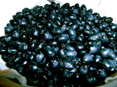 f:id:sunflower23:20111210230918j:image