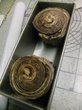 f:id:sunflower23:20120227135149j:image