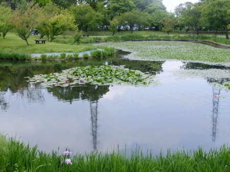 f:id:sunflower23:20120529134847j:image:w640
