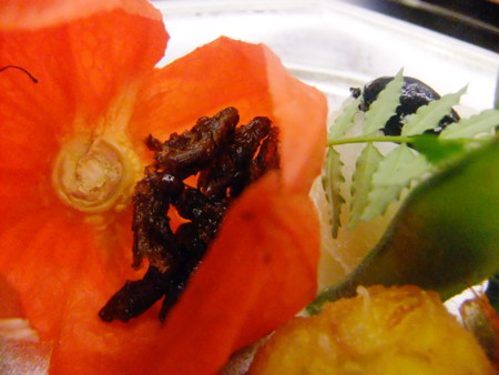 f:id:sunflower23:20120609181146j:image