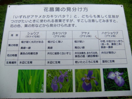 f:id:sunflower23:20120625114626j:image:w640