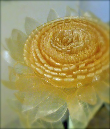 f:id:sunflower23:20120824001453j:image:w500
