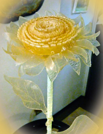 f:id:sunflower23:20120824001455j:image:w320