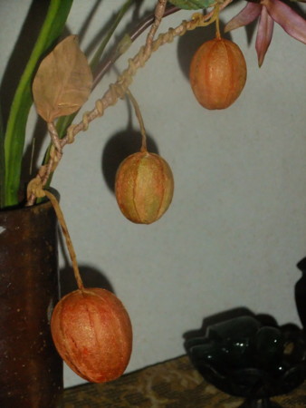 f:id:sunflower23:20120929123137j:image:w500