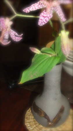 f:id:sunflower23:20121020235734j:image:w200 f:id:sunflower23:20121020235734j:image:w200