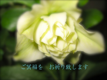 f:id:sunflower23:20150209131045j:image:w540