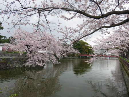 f:id:sunflower23:20150409193638j:image:w640