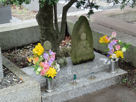 f:id:sunflower23:20160408204855j:image:w240