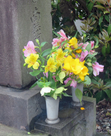 f:id:sunflower23:20160408204856j:image:w240