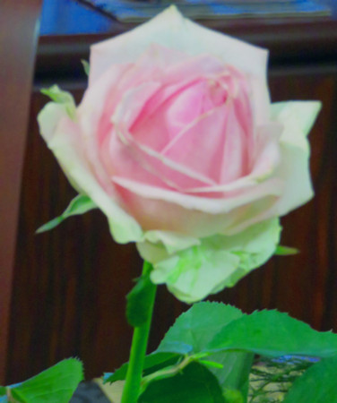 f:id:sunflower23:20160506010902j:image