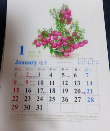 f:id:sunflower23:20170106050609j:image