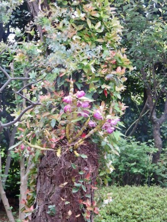 f:id:sunflower23:20180502030717j:image