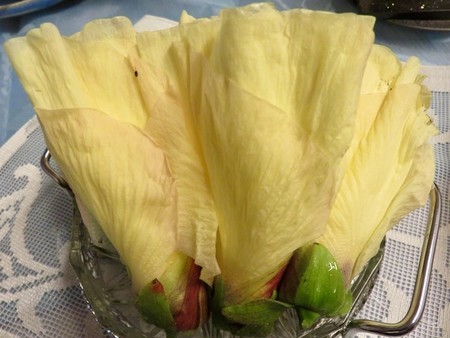 f:id:sunflower23:20180920095538j:image
