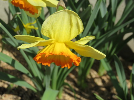 f:id:sunflower23:20190320003727j:image:w640 f:id:sunflower23:20190320003727j:image:w640