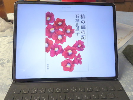 f:id:sunflower23:20190327013847j:image:w640