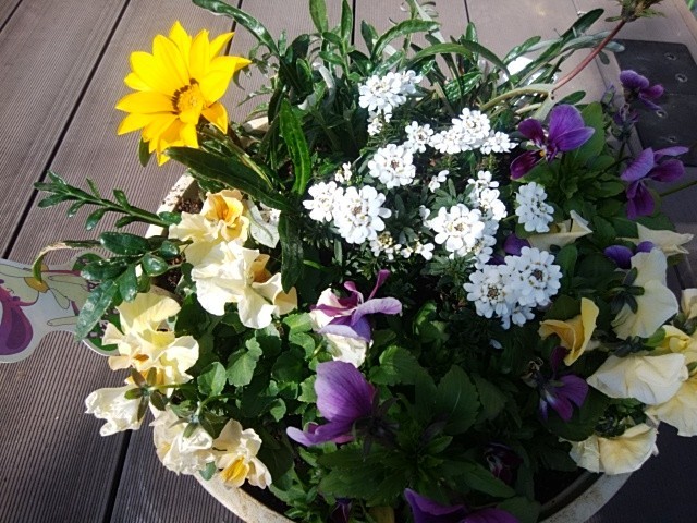 f:id:sunflower23:20210213123749j:plain