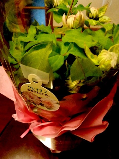 f:id:sunflower23:20210507150740j:image:w280